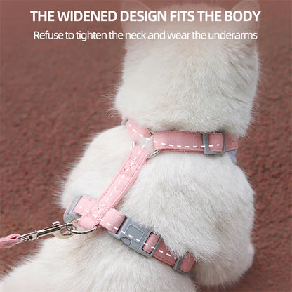 Pet Harness & Leash Set