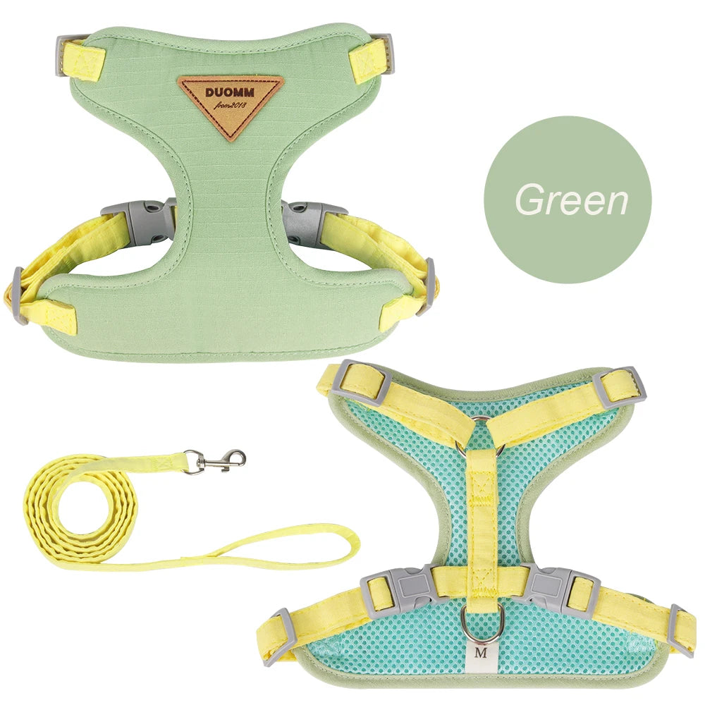 Pet Harness & Leash Set