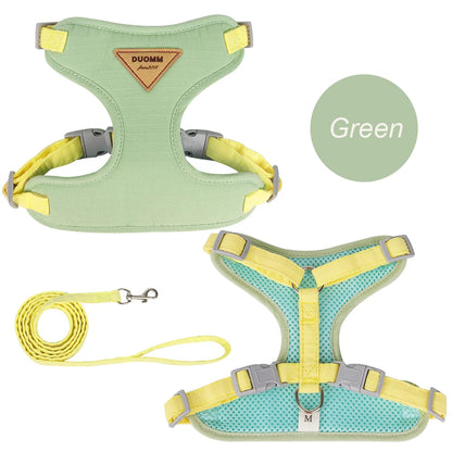 Pet Harness & Leash Set