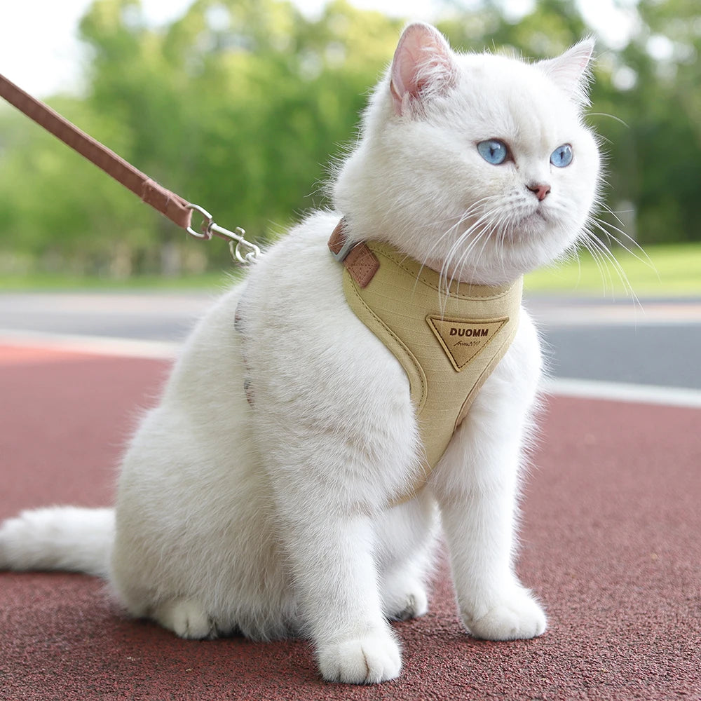 Pet Harness & Leash Set