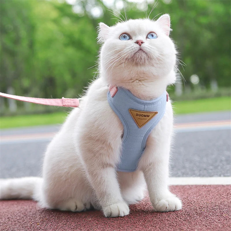 Pet Harness & Leash Set