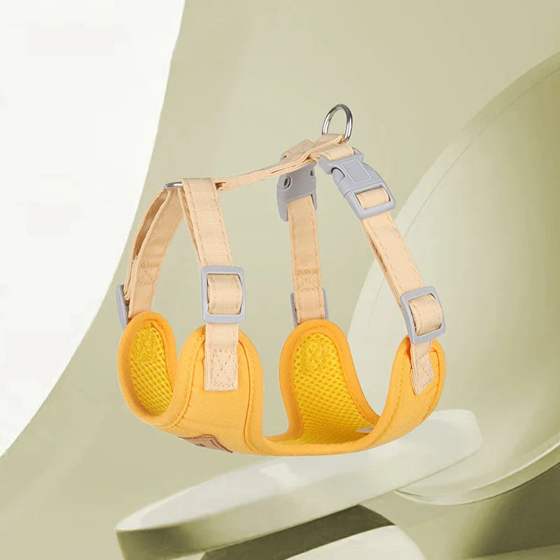 Pet Harness & Leash Set