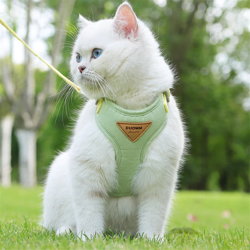 Pet Harness & Leash Set