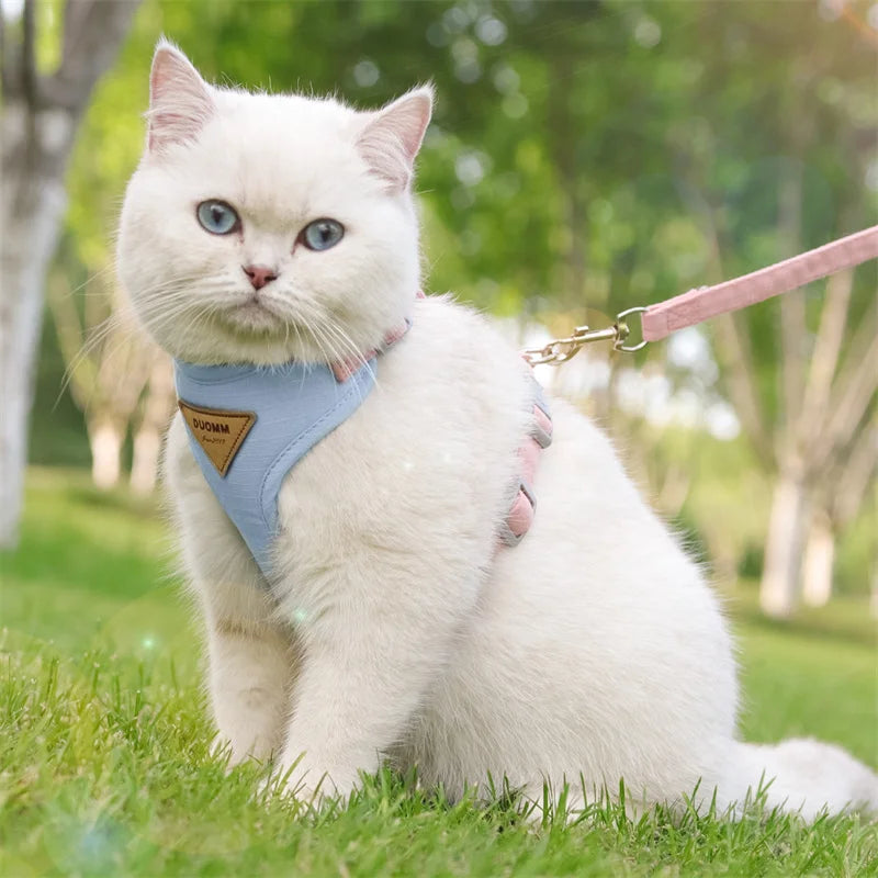 Pet Harness & Leash Set