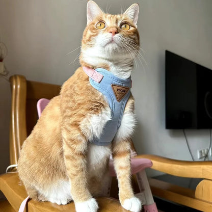 Pet Harness & Leash Set