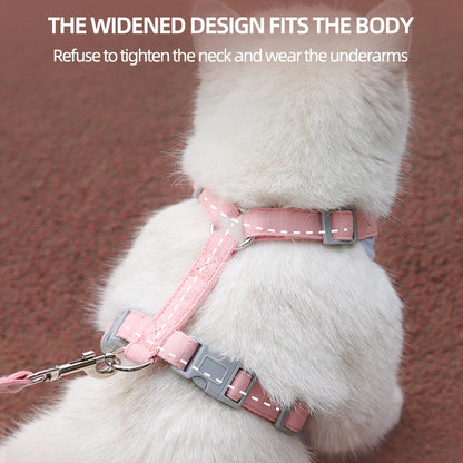 Pet Harness & Leash Set