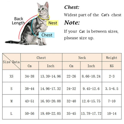 Pet Harness & Leash Set