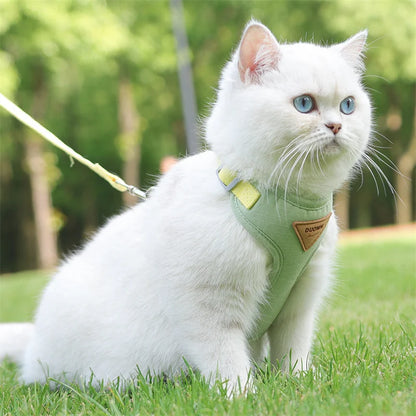Pet Harness & Leash Set