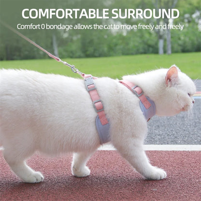 Pet Harness & Leash Set