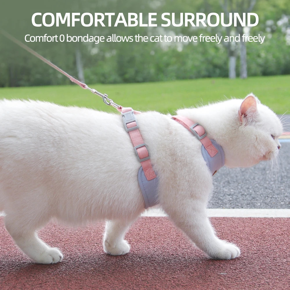 Pet Harness & Leash Set